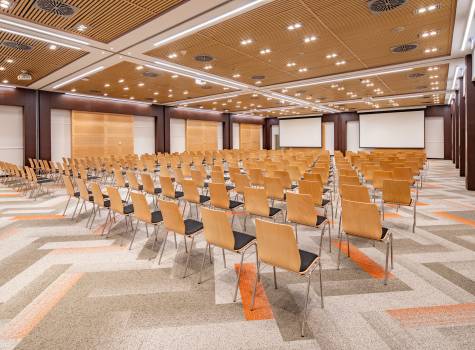 Fagus Hotel Conference & Spa - Conference_room