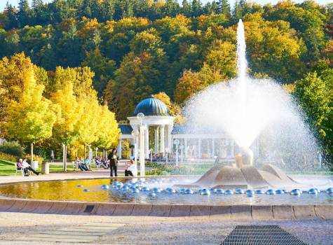 Schlosshotel Marienbad - Fontain