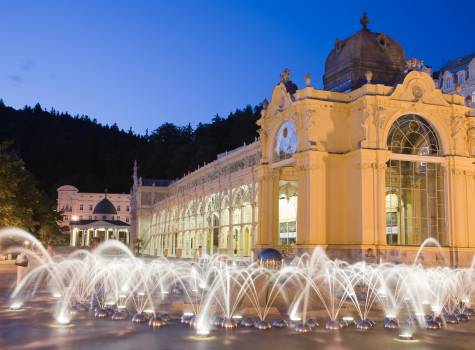 Schlosshotel Marienbad - Marianske Lazne fontana