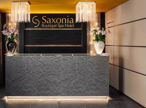 Saxonia Boutique Spa hotel - 18