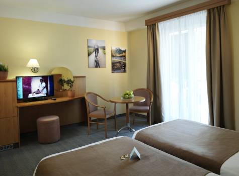 Hotel Neptun - hotel-neptun-twin-bed-television-window